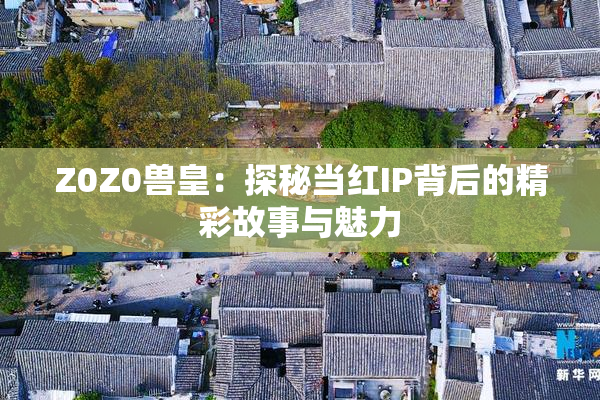 Z0Z0兽皇：探秘当红IP背后的精彩故事与魅力