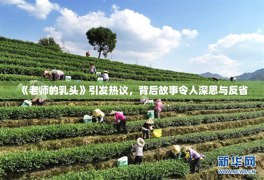 《老师的乳头》引发热议，背后故事令人深思与反省