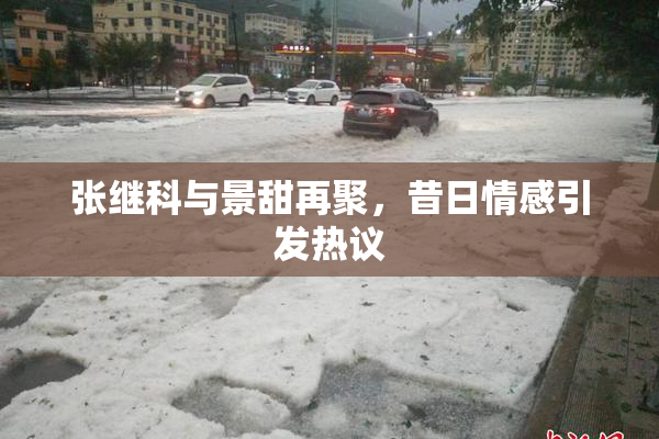 张继科与景甜再聚，昔日情感引发热议