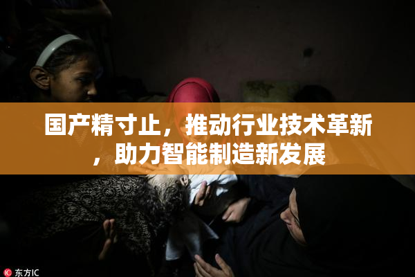 国产精寸止，推动行业技术革新，助力智能制造新发展
