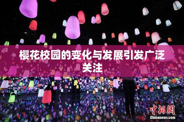 樱花校园的变化与发展引发广泛关注