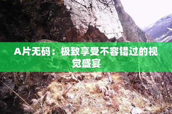 A片无码：极致享受不容错过的视觉盛宴