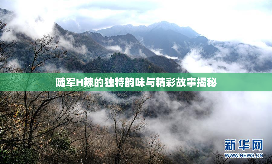 随军H辣的独特韵味与精彩故事揭秘