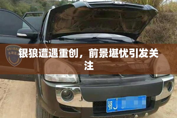 银狼遭遇重创，前景堪忧引发关注