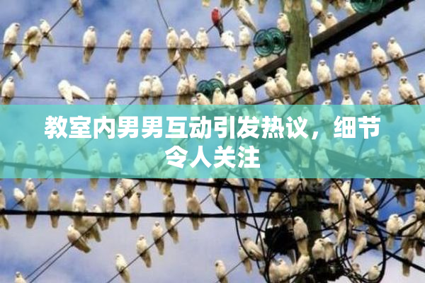教室内男男互动引发热议，细节令人关注