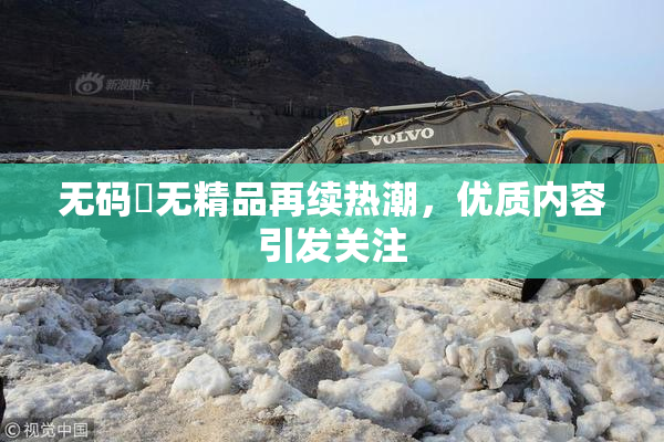 无码囯无精品再续热潮，优质内容引发关注