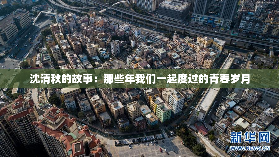 沈清秋的故事：那些年我们一起度过的青春岁月