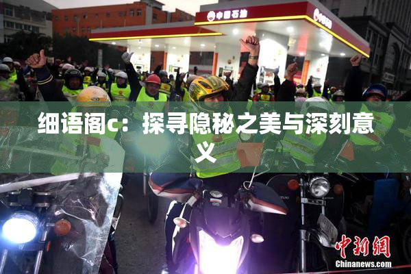 细语阁c：探寻隐秘之美与深刻意义