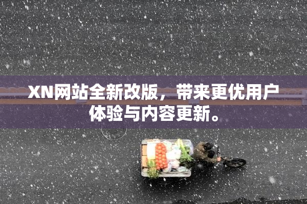 XN网站全新改版，带来更优用户体验与内容更新。