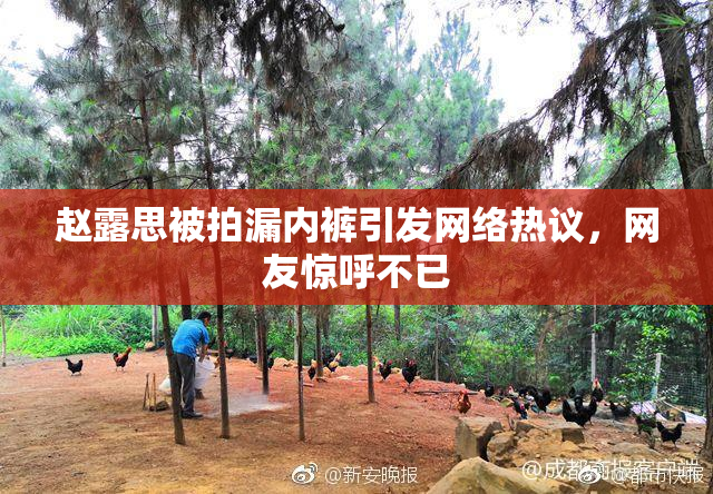 赵露思被拍漏内裤引发网络热议，网友惊呼不已