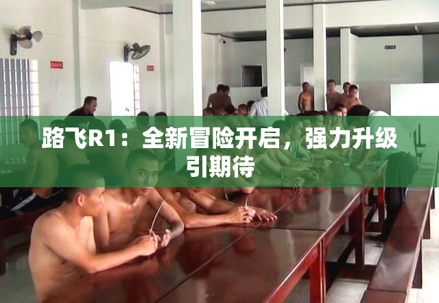 路飞R1：全新冒险开启，强力升级引期待