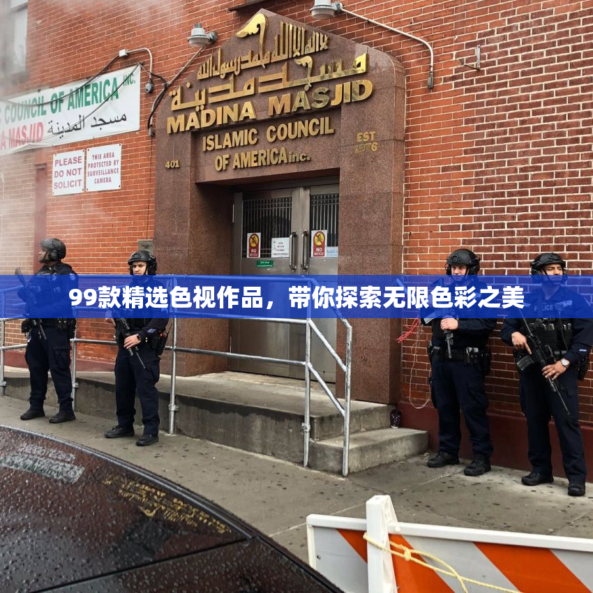 99款精选色视作品，带你探索无限色彩之美