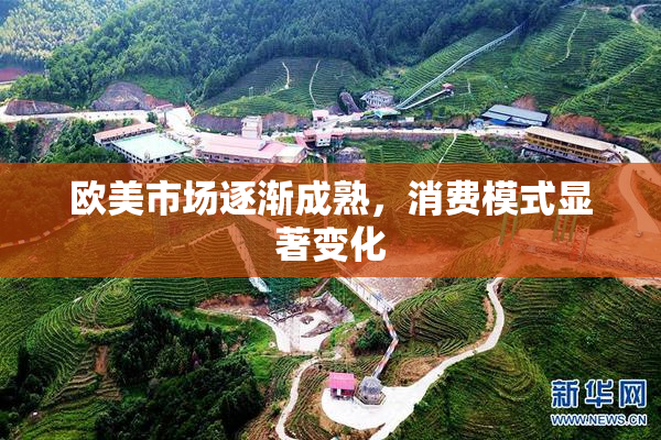 欧美市场逐渐成熟，消费模式显著变化