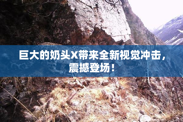 巨大的奶头X带来全新视觉冲击，震撼登场！