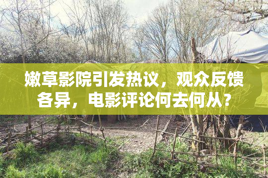 嫩草影院引发热议，观众反馈各异，电影评论何去何从？