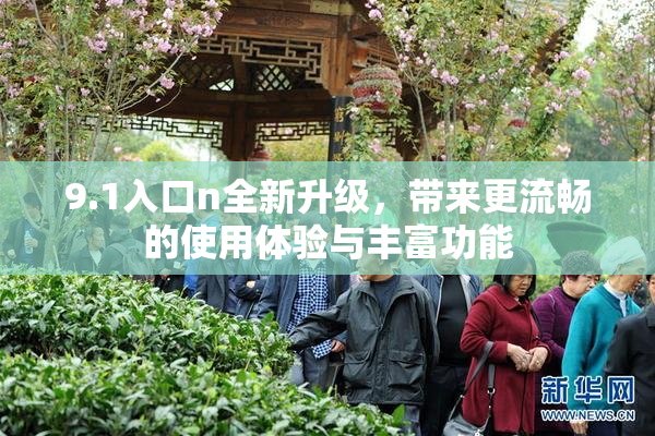 9.1入口n全新升级，带来更流畅的使用体验与丰富功能