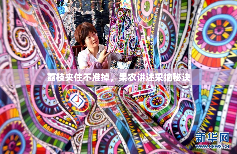 荔枝夹住不准掉，果农讲述采摘秘诀