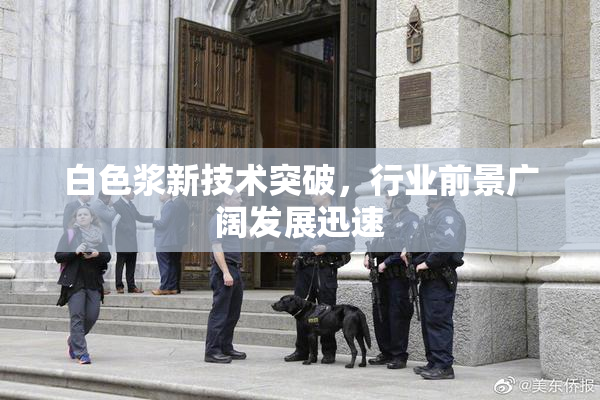 白色浆新技术突破，行业前景广阔发展迅速