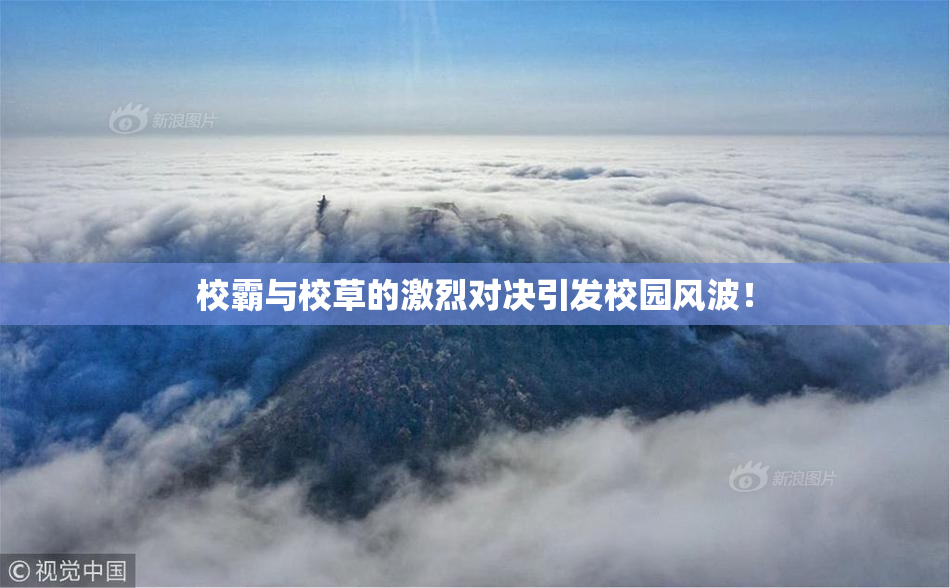校霸与校草的激烈对决引发校园风波！