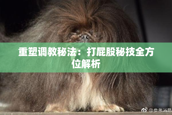 重塑调教秘法：打屁股秘技全方位解析