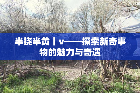 半挠半黄丨v——探索新奇事物的魅力与奇遇