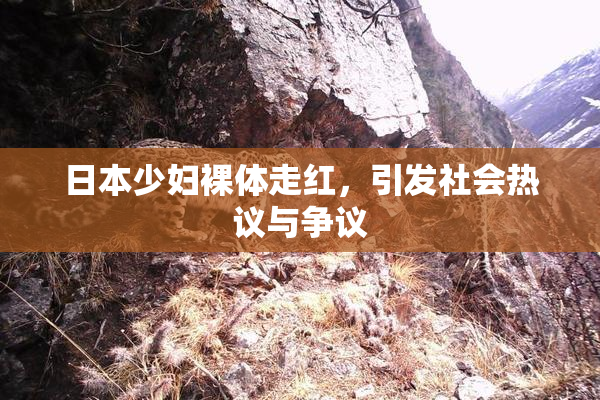 日本少妇裸体走红，引发社会热议与争议