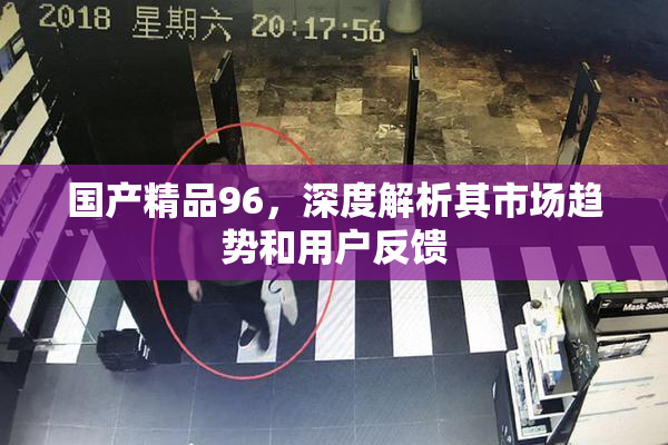 国产精品96，深度解析其市场趋势和用户反馈