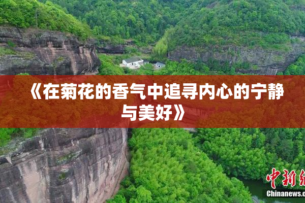 《在菊花的香气中追寻内心的宁静与美好》