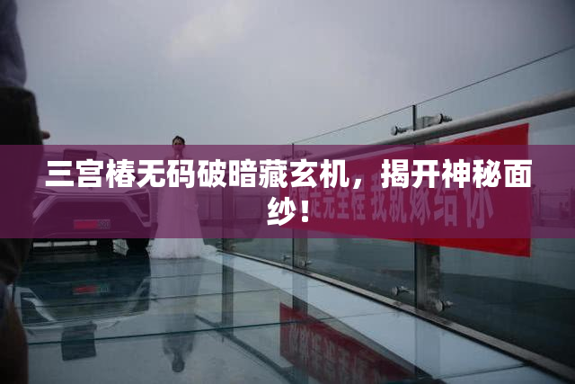 三宫椿无码破暗藏玄机，揭开神秘面纱！