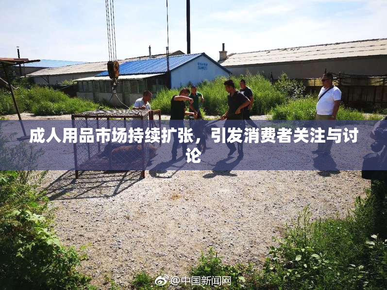 成人用品市场持续扩张，引发消费者关注与讨论