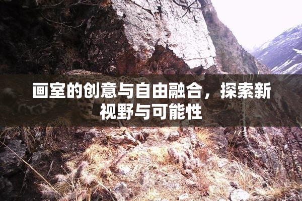 画室的创意与自由融合，探索新视野与可能性
