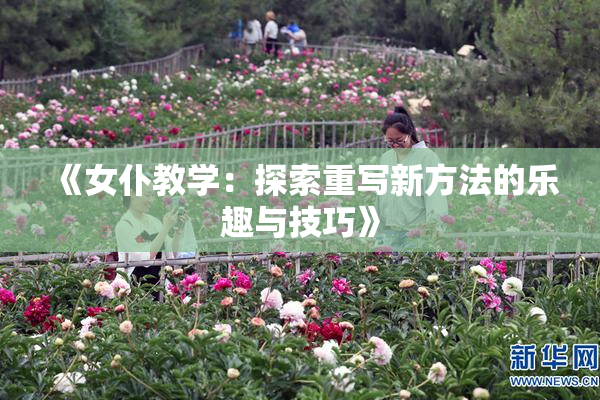 《女仆教学：探索重写新方法的乐趣与技巧》