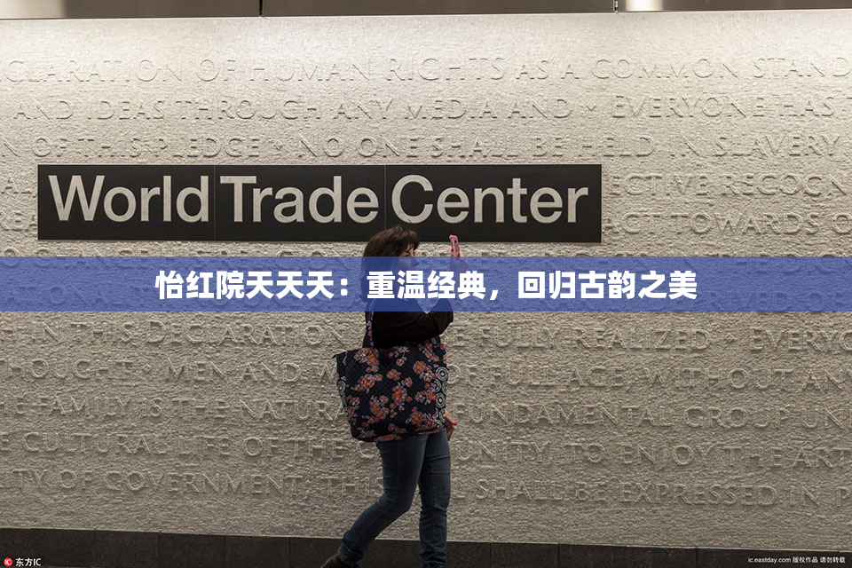 怡红院天天天：重温经典，回归古韵之美