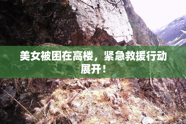 美女被困在高楼，紧急救援行动展开！