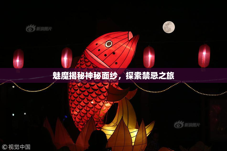 魅魔揭秘神秘面纱，探索禁忌之旅