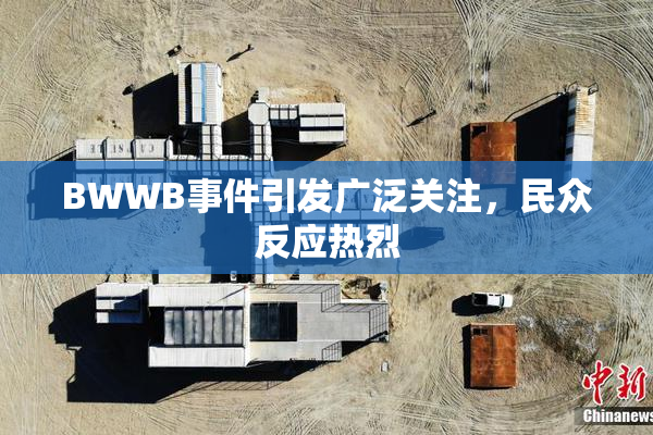 BWWB事件引发广泛关注，民众反应热烈