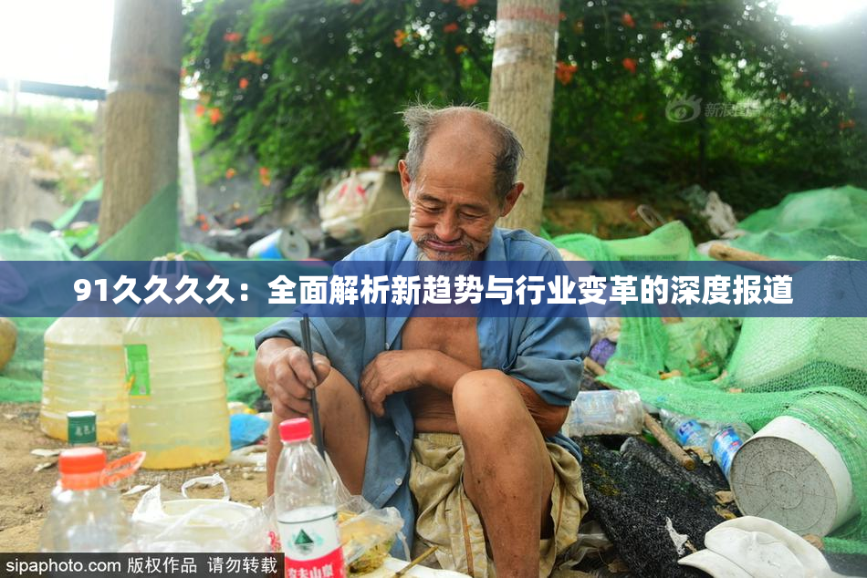 91久久久久：全面解析新趋势与行业变革的深度报道