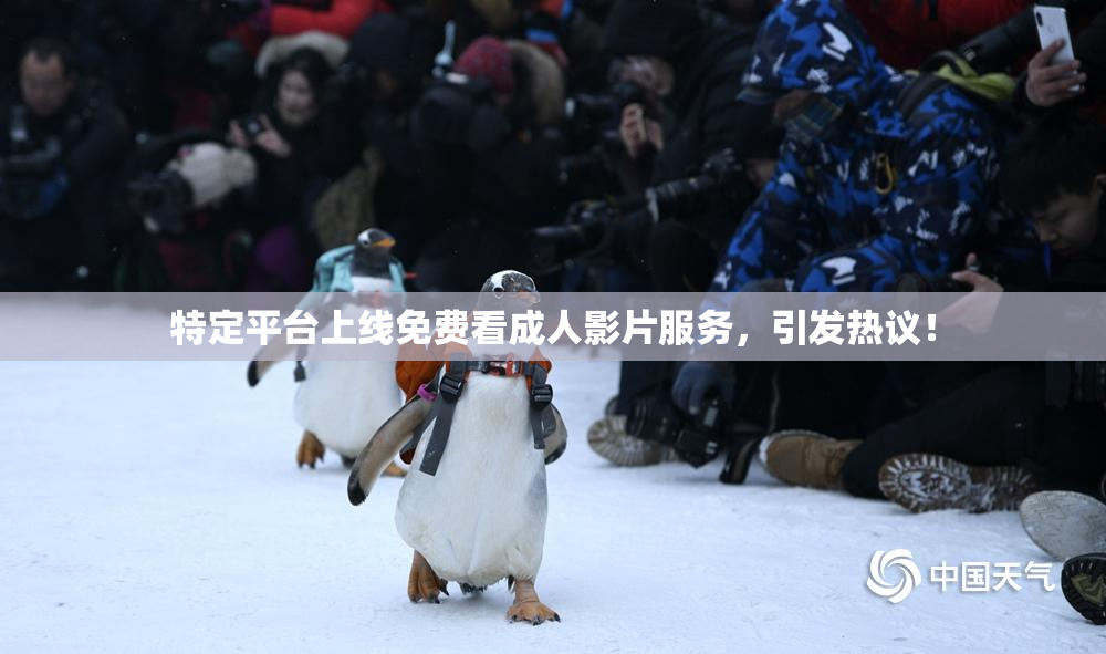 特定平台上线免费看成人影片服务，引发热议！