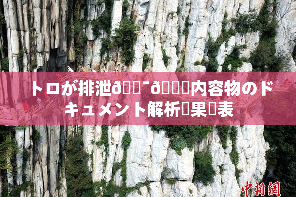 トロが排泄🔯👅内容物のドキュメント解析結果発表