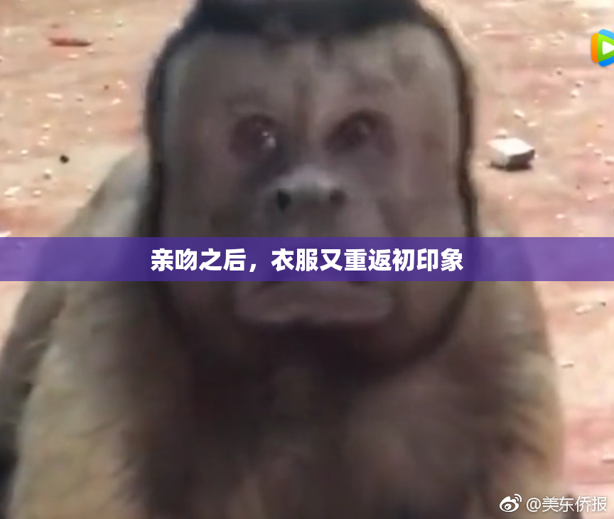 亲吻之后，衣服又重返初印象