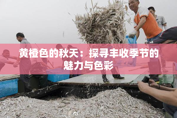黄橙色的秋天：探寻丰收季节的魅力与色彩