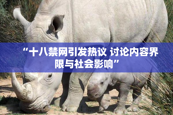 “十八禁网引发热议 讨论内容界限与社会影响”