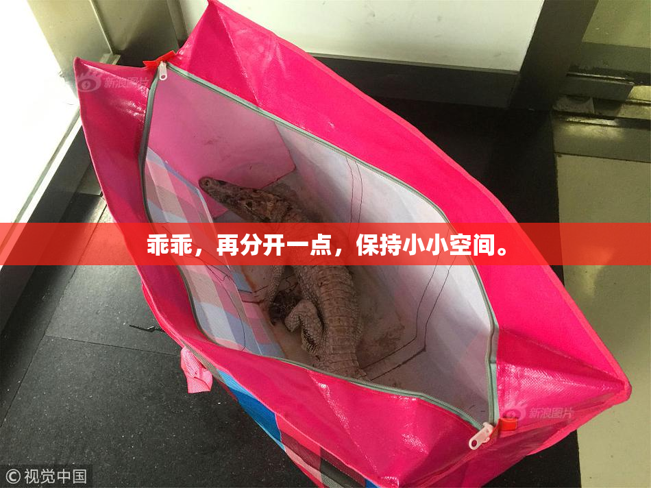 乖乖，再分开一点，保持小小空间。