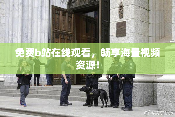 免费b站在线观看，畅享海量视频资源！