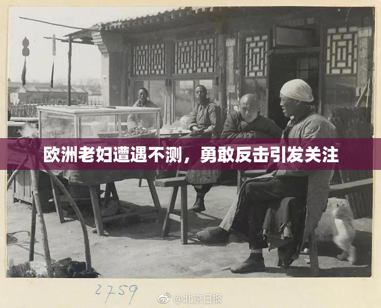 欧洲老妇遭遇不测，勇敢反击引发关注