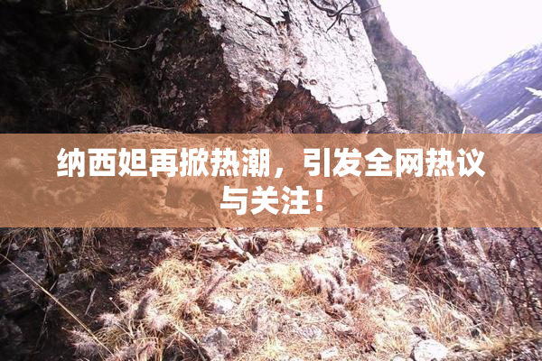 纳西妲再掀热潮，引发全网热议与关注！