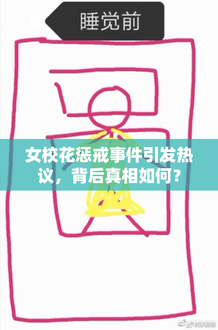 女校花惩戒事件引发热议，背后真相如何？