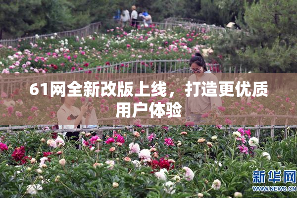 61网全新改版上线，打造更优质用户体验