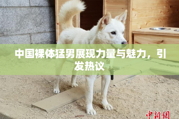 中国裸体猛男展现力量与魅力，引发热议