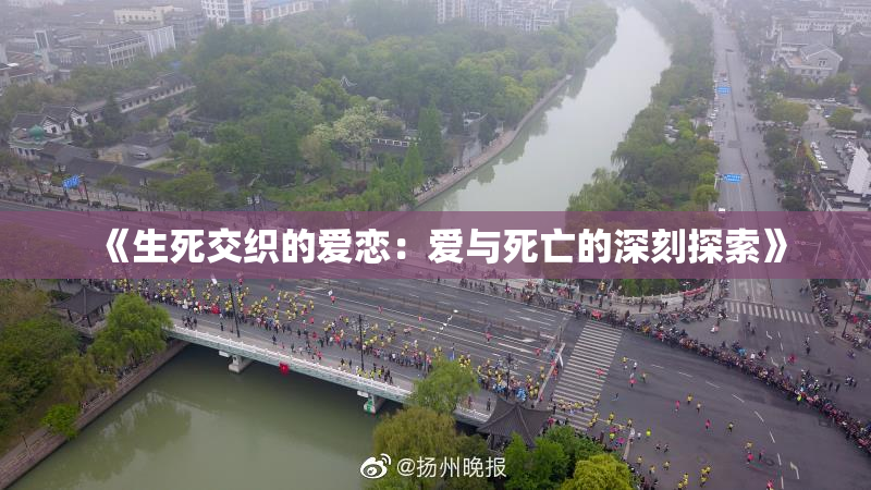 《生死交织的爱恋：爱与死亡的深刻探索》